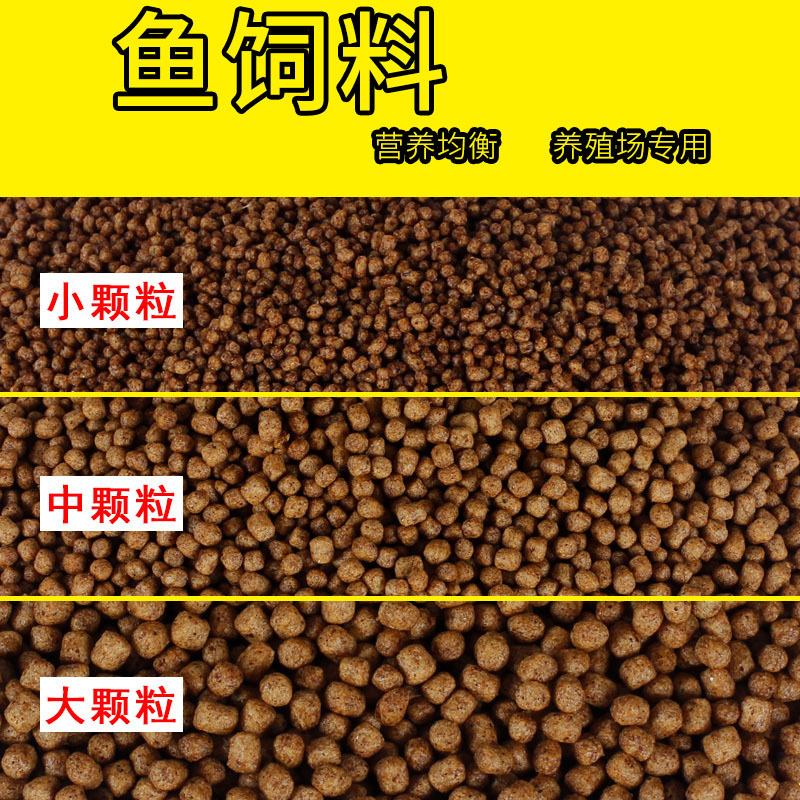 观赏鱼食小金鱼饲料鱼通用鱼粮小颗粒上浮鱼料锦鲤饲料中型鱼高清大图