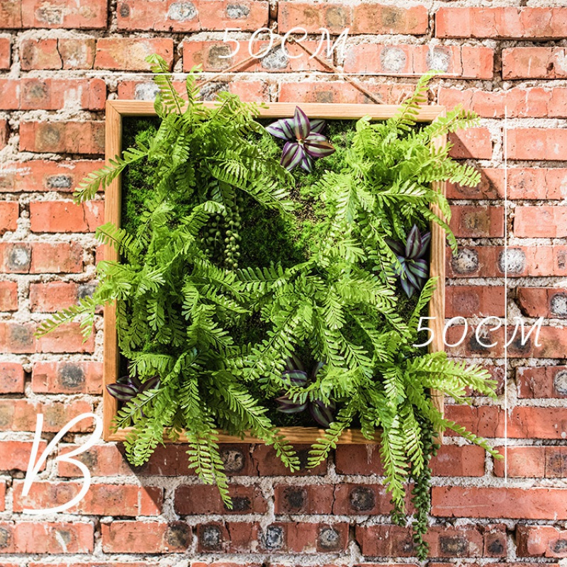 仿真绿植框 绿植墙多肉组合植物背景墙 装饰壁饰花墙 B(50X50)_664
