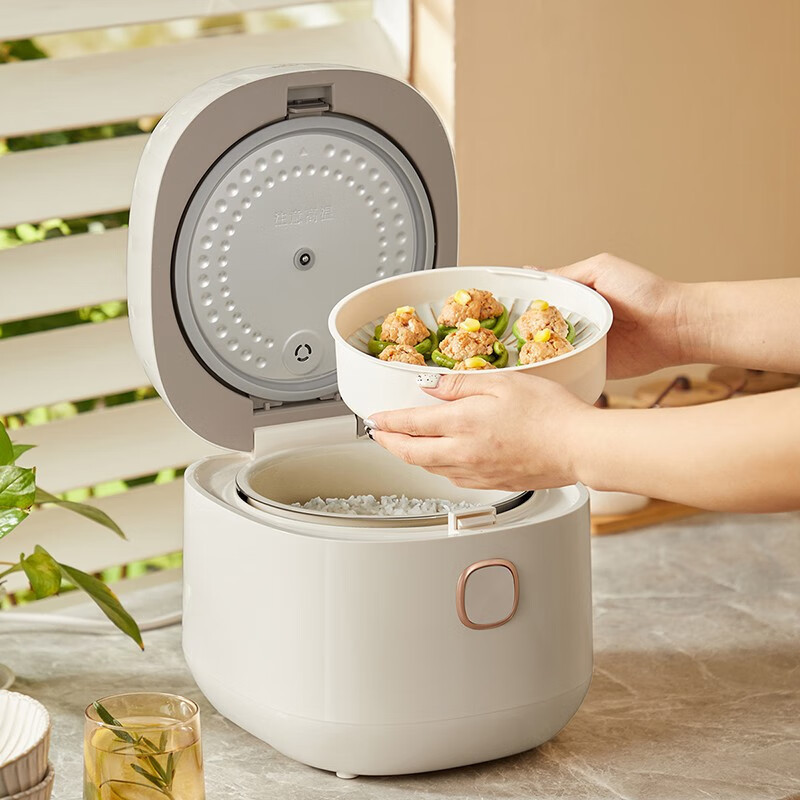 小熊(Bear)DFB-C30D1电饭煲 电饭锅迷你家用小容量多功能预约定时元釜内胆 3L(台)高清大图