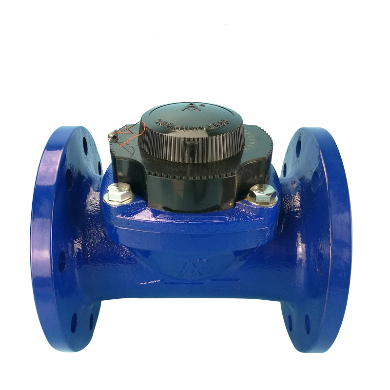 苏宁 埃美柯 法兰水表铁壳螺翼式干式可拆卸芯机械数字冷水表 DN300/个