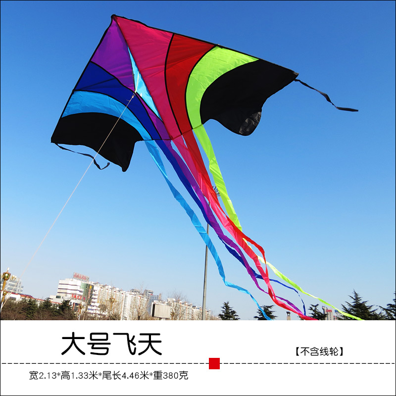 潍坊风筝飞天彩虹儿童卡通大型成人风筝线轮微风易飞不飞包退T11创意 三维工匠 大飞天彩虹[不含线轮]高清大图