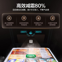 容声(Ronshen)100升冰柜小型家用冷冻冷藏 迷你冷柜 一级能效节能卧式 电脑控温BD/BC-100MSYA
