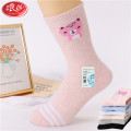 浪莎袜子女士纯棉中筒秋冬厚款舒适透气卡通可爱ins潮运动休闲袜2双 厚款抗菌91781/2双/多色混搭 均码/22-24cm/适合36-39码