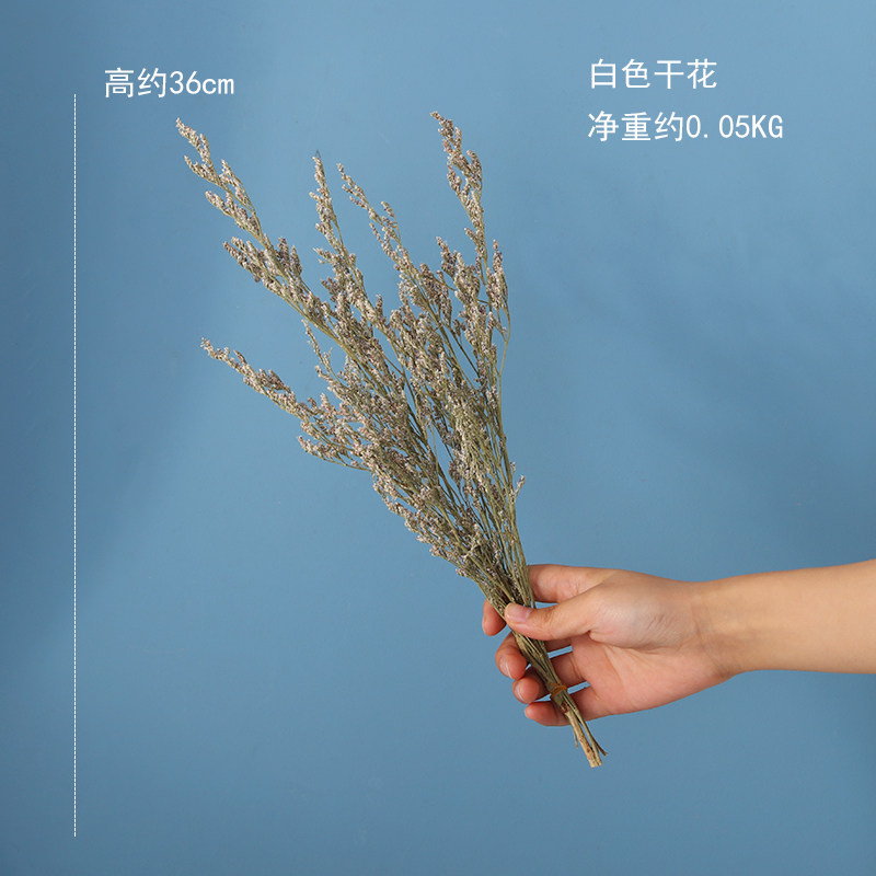 北欧简约现代陶瓷花瓶摆件客厅干花插花ins风创意餐桌家居装饰品收纳袋 三维工匠 大号花瓶_77