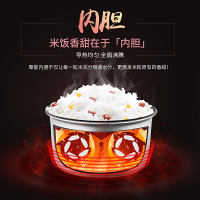 长虹(CHANGHONG)电饭煲家用机械式电饭锅 不粘锅内胆 带蒸笼 5L CFB-X50Y22