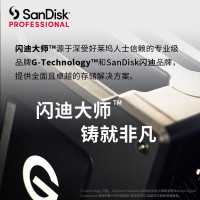 闪迪大师G-Technology6TB企业桌面硬盘3.5英寸PRO版传输速度250MB/S兼容Type-C/USB
