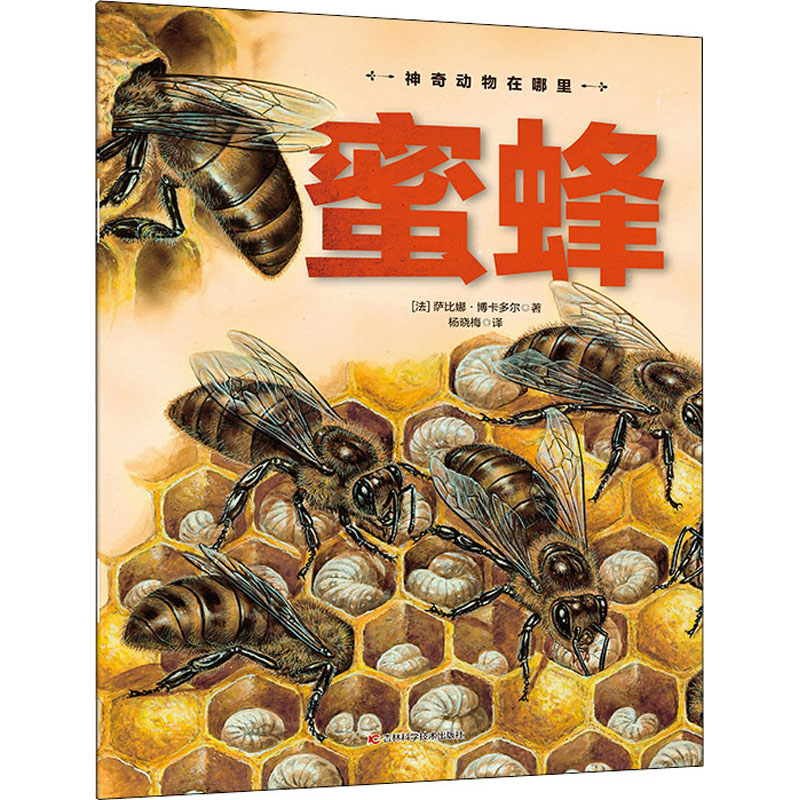 [M]蜜蜂-9787557878214高清大图