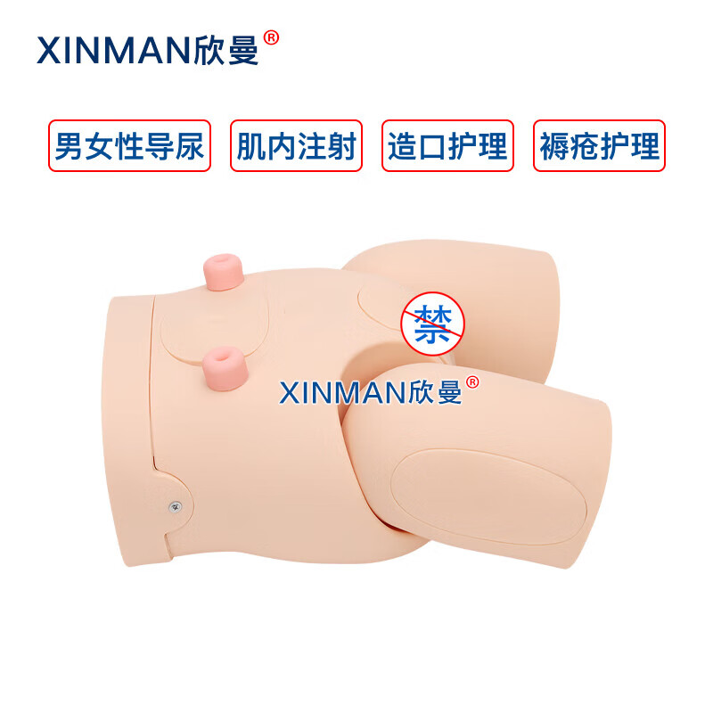 欣曼科教 高级男女性互换导尿操作训练模型 导尿练习模拟人XM-H12高清大图