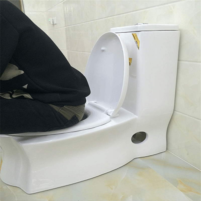 家用彩色蹲坐两用马桶超漩虹吸节水静音抽水墙排防臭双用座坐便器波迷