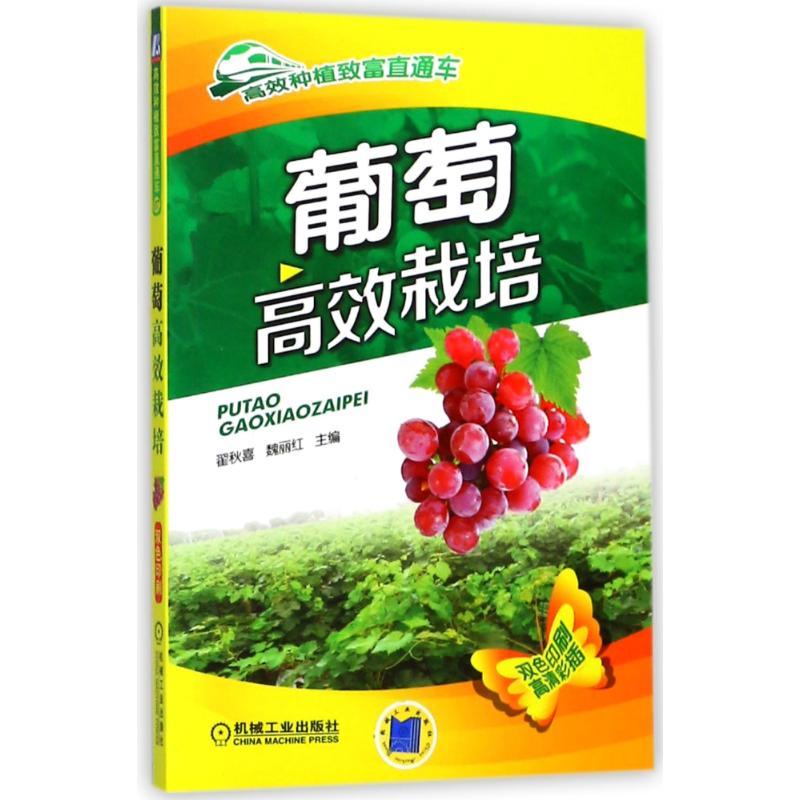 葡萄高效栽培 编者:翟秋喜//魏丽红 著作 专业科技 文轩网