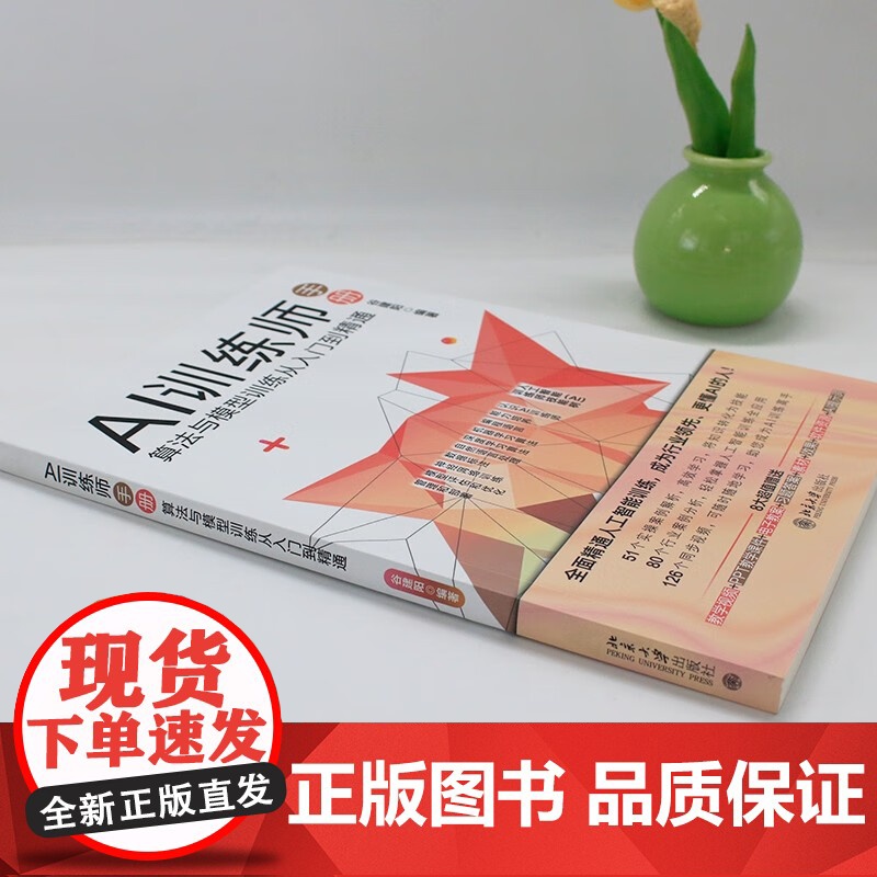 AI训练师手册 算法与模型训练从入门到精通 谷建阳 著 计算机与互联网高清大图