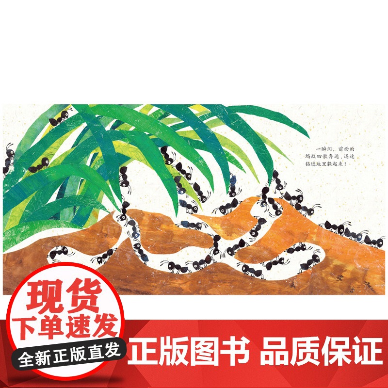 爱心桥绘本系列-最后一只蚂蚁高清大图
