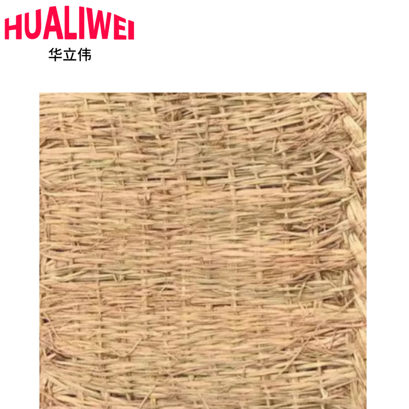 华立伟高清大图