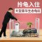 乌龟缸大型鱼宠物龟养乌龟专用水龟饲养箱特大号超大家用养龟大号
