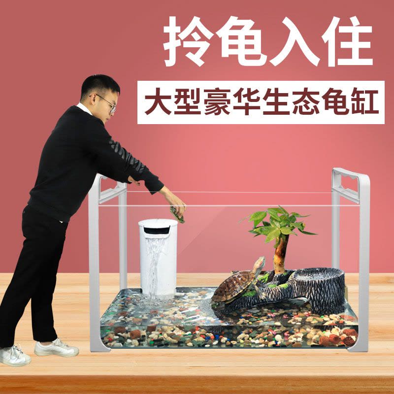 乌龟缸大型鱼宠物龟养乌龟专用水龟饲养箱特大号超大家用养龟大号图片