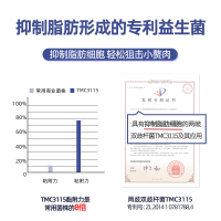 益生菌白芸豆压片糖果1盒 阻油款