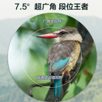 博冠(BOSMA)星狼10X50双筒望远镜高倍高清微光夜视非红外超广角演唱会户外观鸟镜寻蜂望眼镜