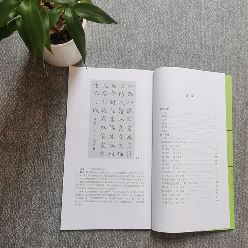 醉染图书诸体集字古诗 褚遂良雁塔圣教序9787806358856高清大图