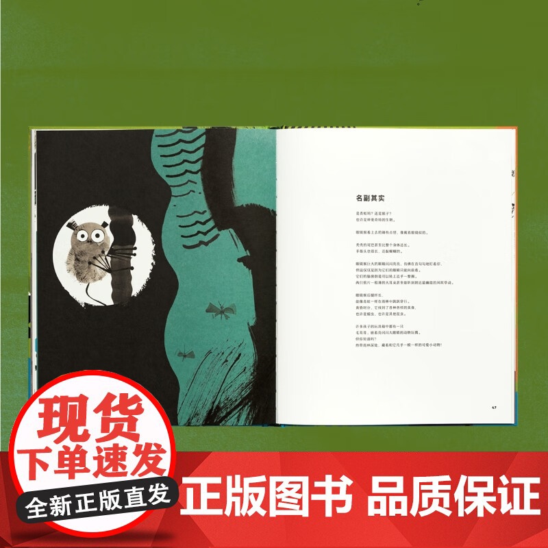 [央视网]读小库自然写真系列 墨写万物世界 劳拉梅尔兹 艾诺雅维宁 著 用水墨 用诗歌 呈现天地之间未被赏识的奇迹5-1高清大图