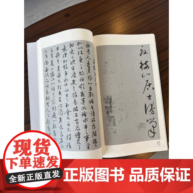 书法自学丛帖——行草(下册) 上海书画出版社编 著 毛笔书法 艺术 上海书画出版社高清大图