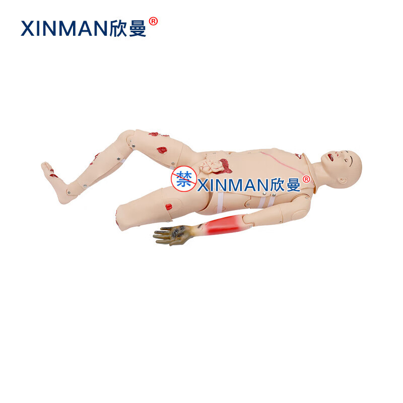 欣曼科教 基础伤情模拟人 全功能创伤包扎止血救护人体模型XM-Y1011高清大图