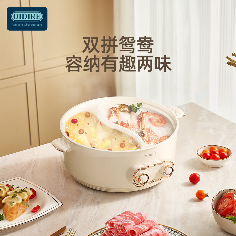 OIDIRE电煮锅 电炖锅电火锅多功能锅 ODI-DHG19 6L