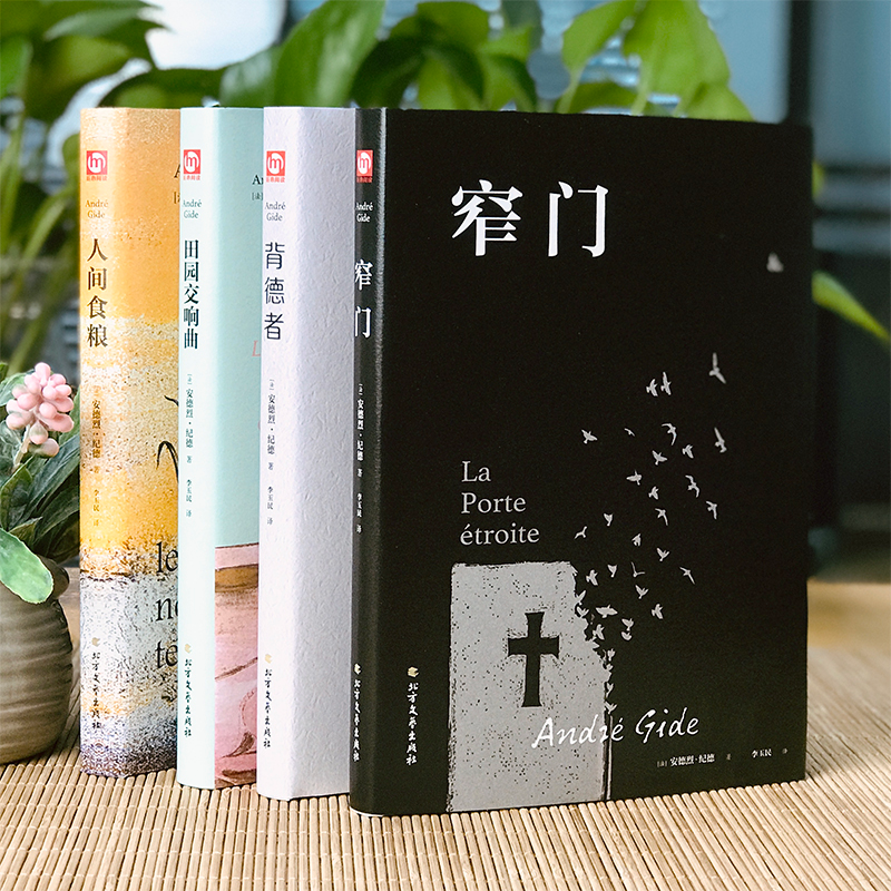 醉染图书窄门9787531745594高清大图