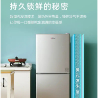 志高(CHIGO) BCD-148A218D升双门冰箱 两门小冰箱 家用冷藏冷冻小型电冰箱(星光银)