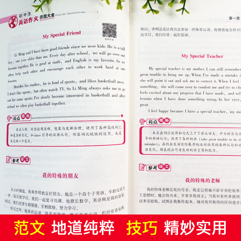 初中生英语作文一本全 [正版]初中生英语作文示范大全英语作文考场大全英语作文一本全初一初二初三通用英语高分作文素材范文大高清大图