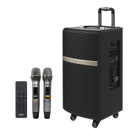 爱浪（Avlight） 爱浪EX-10三分频户外移动拉杆音响大功率电瓶音箱无线蓝牙K歌广场舞音响