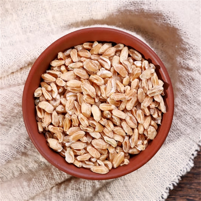 甄选浮小麦茶100克浮水小麦茶新货干瘪小麦干货正品另售黄芪酸枣仁高清大图