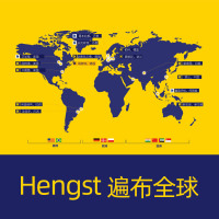 汉格斯特(hengst)机滤H804W适配09-14款进口锐界/探险者/野马/林肯MKZ/MKS/MKX/MKT/领航员