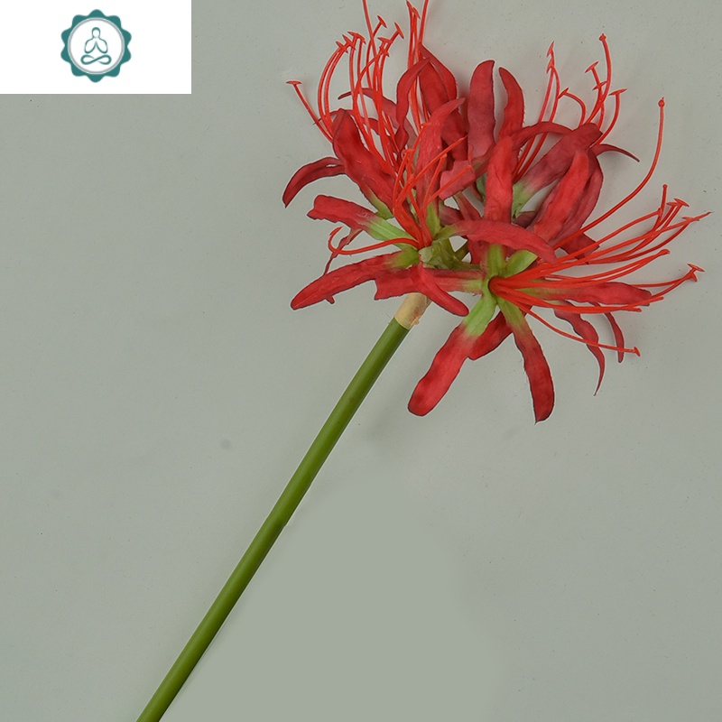 彼岸花仿真花曼珠沙华干花汉服昙花束古风装饰假拍摄道具手持拍照封后昙花 粉色仿真植物图片 高清实拍大图 苏宁易购