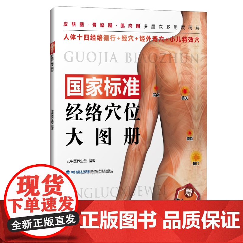 国家标准经络穴位大图册高清大图