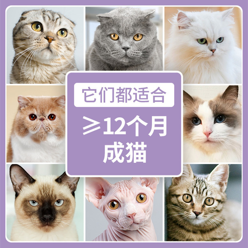 伯纳天纯(pure natural)成猫成年期猫粮1.5kg苏宁自营宠物食品天然粮无谷粮猫干粮蓝猫经典系列