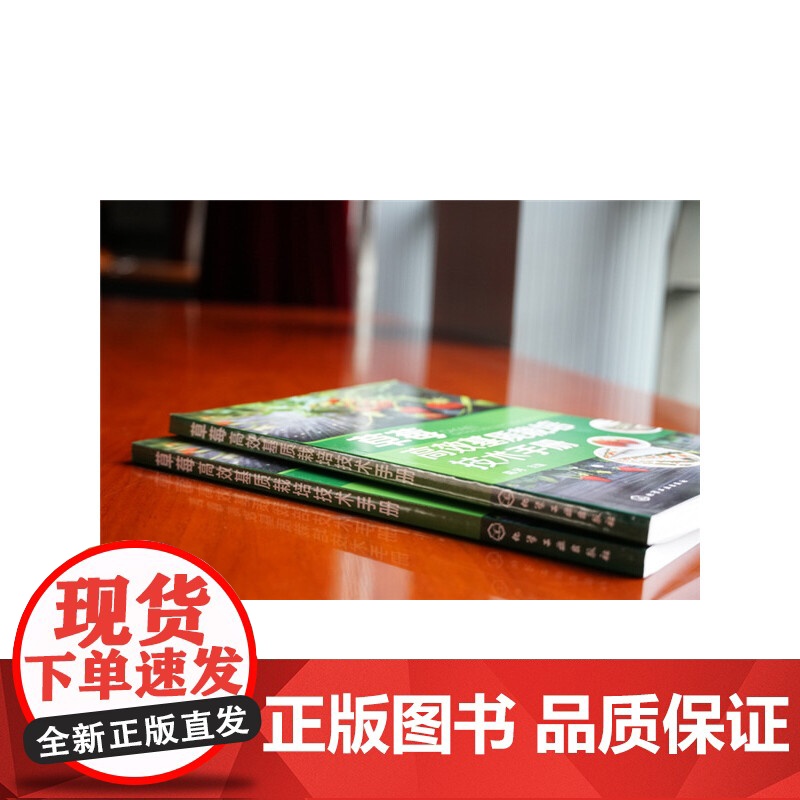 草莓高效基质栽培技术手册 路河 化学工业出版社 正版书籍高清大图