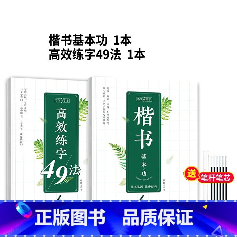 【高级版】楷书基本功+练字49法 【正版】志飞习字高效练字帖49法硬笔楷书初学者入门临摹速成教程套装控笔训练基础大学生钢