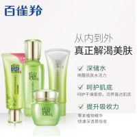 百雀羚(PECHOIN)水嫩倍现护肤套装（95g+100ml+50g+40g）「盈泽保湿 舒缓均衡」通用补水保湿控油