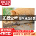 她和她的猫