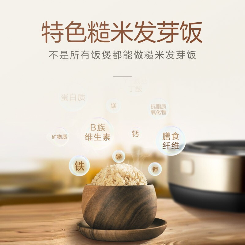 格力大松(TOSOT)电饭煲GDCF-40X80C 4升大容量家用压力IH电磁加热煮饭锅多功能柴火饭智能WIFI预约功能