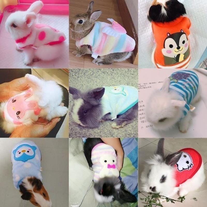 兔子衣服秋冬宠物兔兔荷兰猪服饰小兔子穿的垂耳兔侏儒兔保暖用品 湖蓝色 木马 4码一斤内