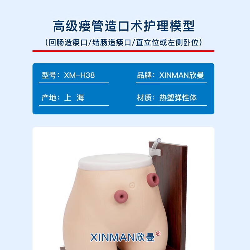 欣曼科教 高级瘘管造口术护理模型XM-H38高清大图