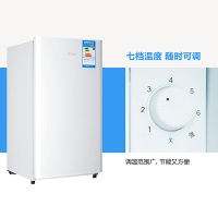 海尔(Haier)BC-93TMPF 93升1级能效单门家用节能静音小型租房宿舍厨房电冰箱 冷柜 冰柜 迷你小冰箱