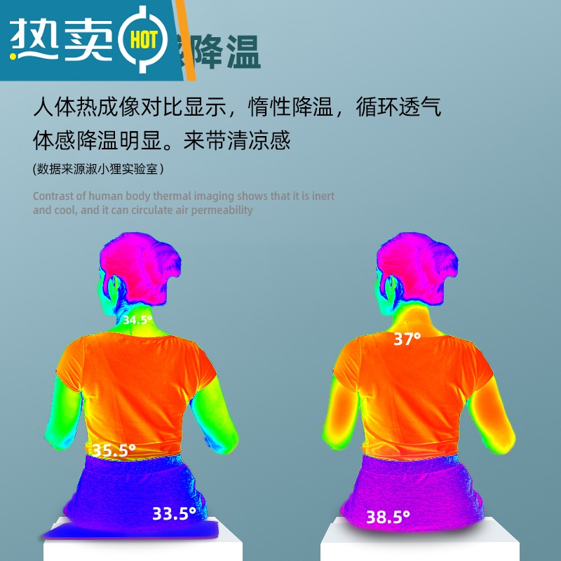 显彩淑小狸冰垫坐垫夏季免注水垫凉垫汽车学生教室夏天凝胶宠物降温垫高清大图