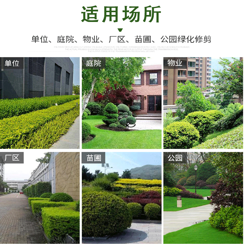gaerrn自走式索普sp216sh草坪机/除草机