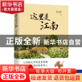 这里是江南