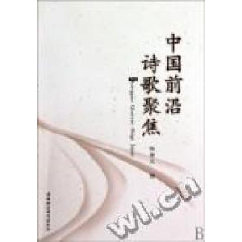 正版新书]中国前沿诗歌聚焦陈仲义著9787500482925高清大图