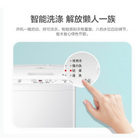 统帅(Leader)海尔出品洗衣机波轮洗衣机全自动6.5公斤家用小型租房公寓8kg洗脱一体官方旗舰店