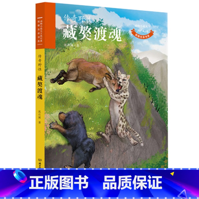 传奇野性:藏獒渡魂 [正版]百师阅读2023暑期书单小学四年级书香一夏藏獒渡魂说文解字四年级高清大图