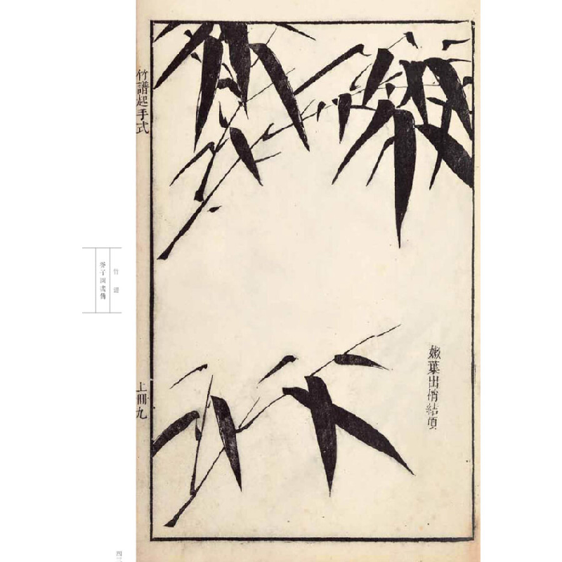 正版新书]芥子园画传 花鸟卷·竹谱(康熙原版)[清] 王概,王蓍高清大图